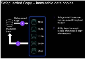 IBM 受保护的复制方案 2202