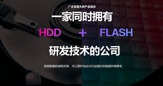 存储芯片概念股票龙头股一览表