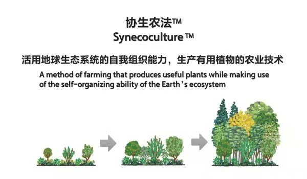 激发创新灵感与热情,与追梦者共启未来 第八届索尼中国创新大赛展会在沪举办